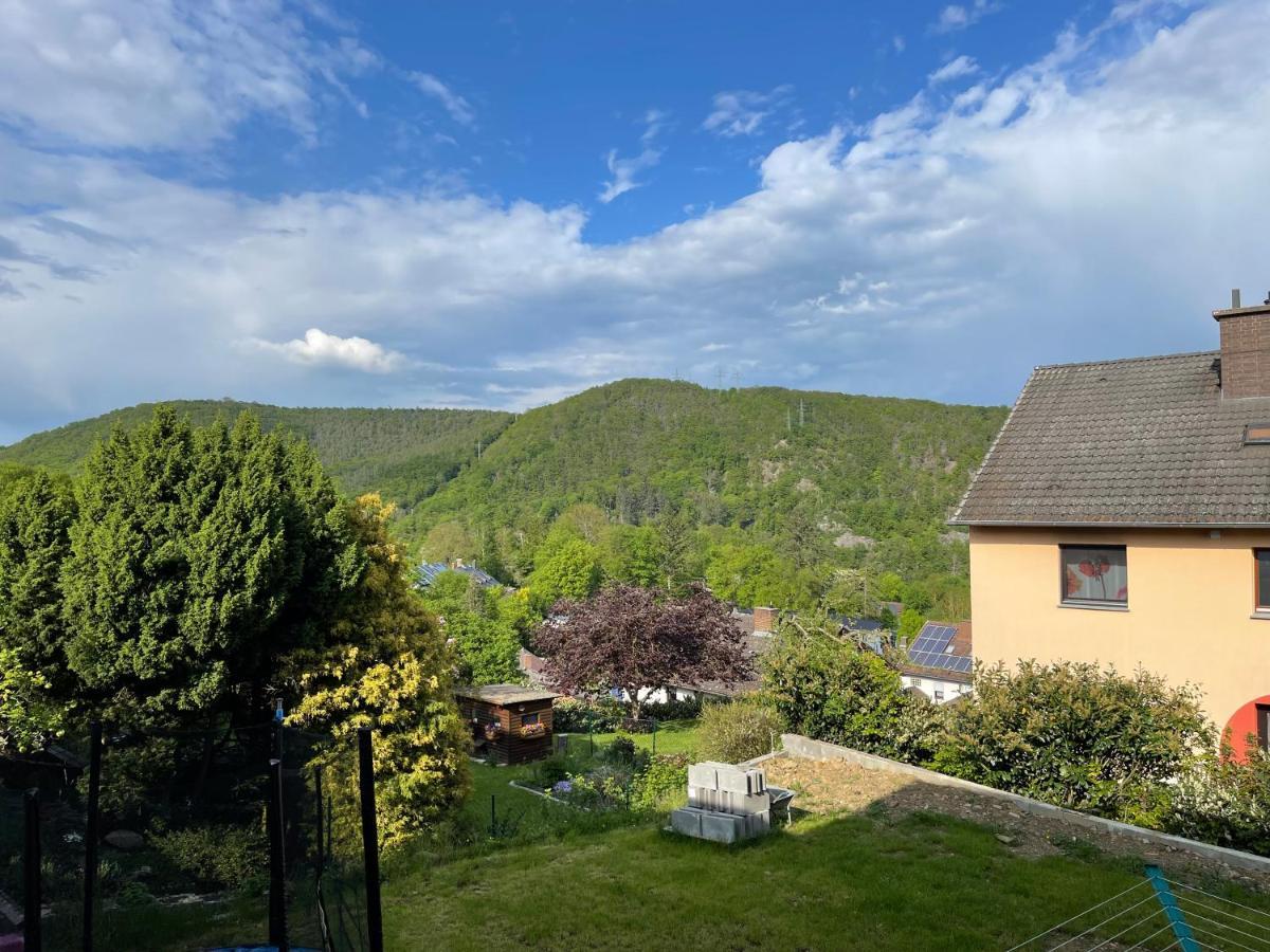 Ferienwohnung Zum Wildpark Edersee Εξωτερικό φωτογραφία